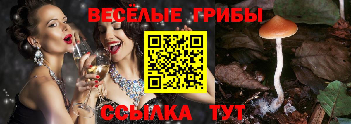 Галлюциногенные грибы Psilocybine cubensis Искитим